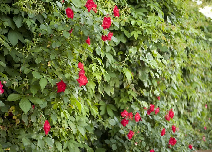 Turquhouse Hotel Istanbul