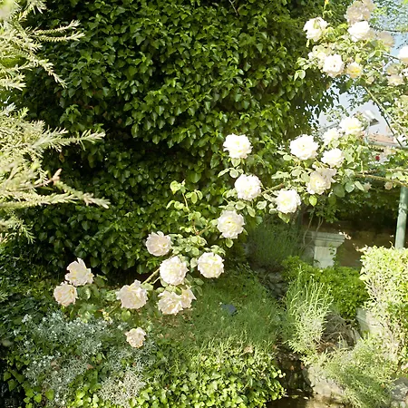 Turquhouse Hotel Istanboel